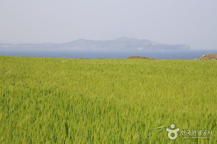 송악산