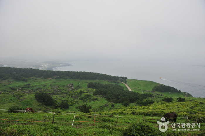 송악산