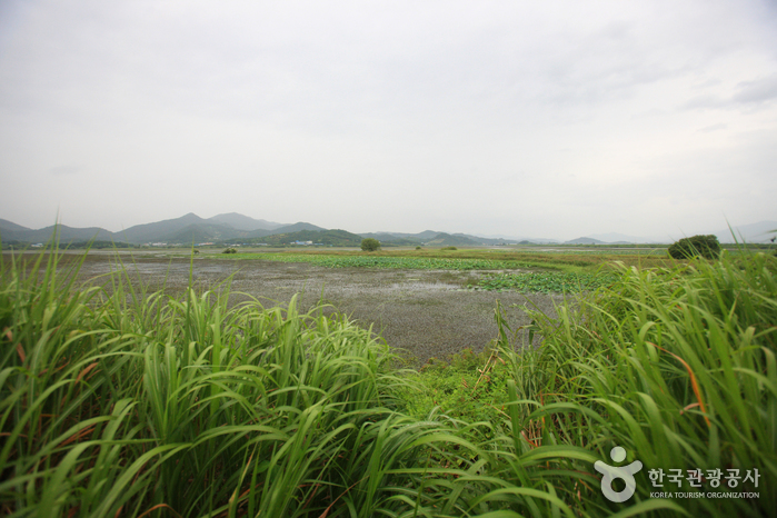 주남저수지(철새도래지)