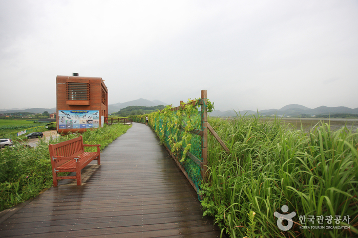 주남저수지(철새도래지)