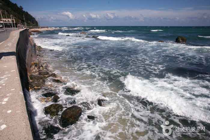 쪽빛바닷길해안드라이브