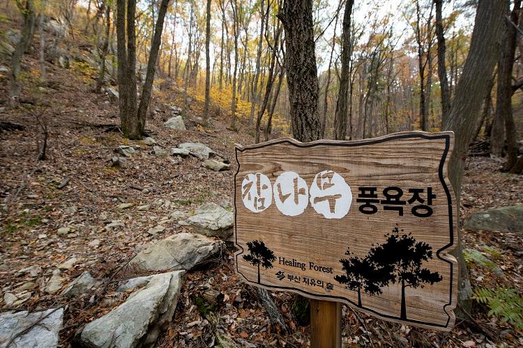 부산치유의숲