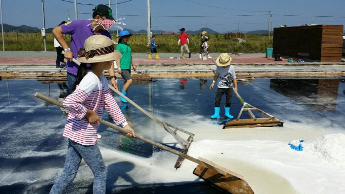 소금밭체험