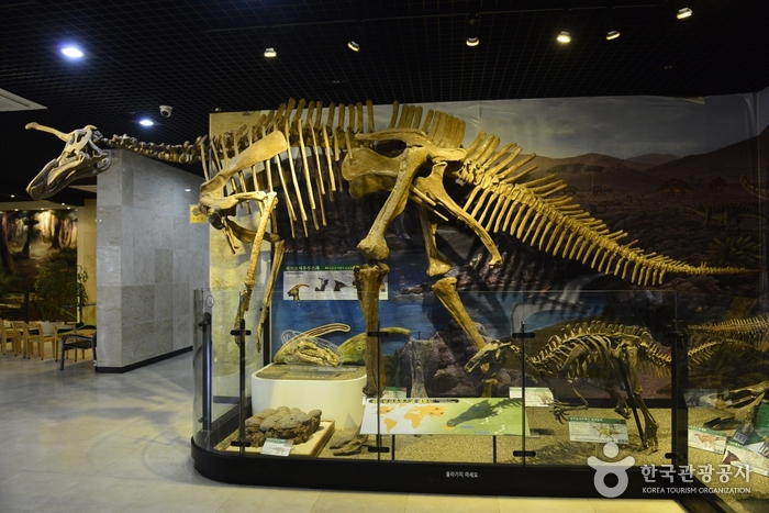 안면도쥬라기박물관