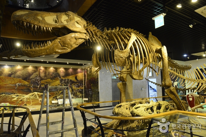 안면도쥬라기박물관