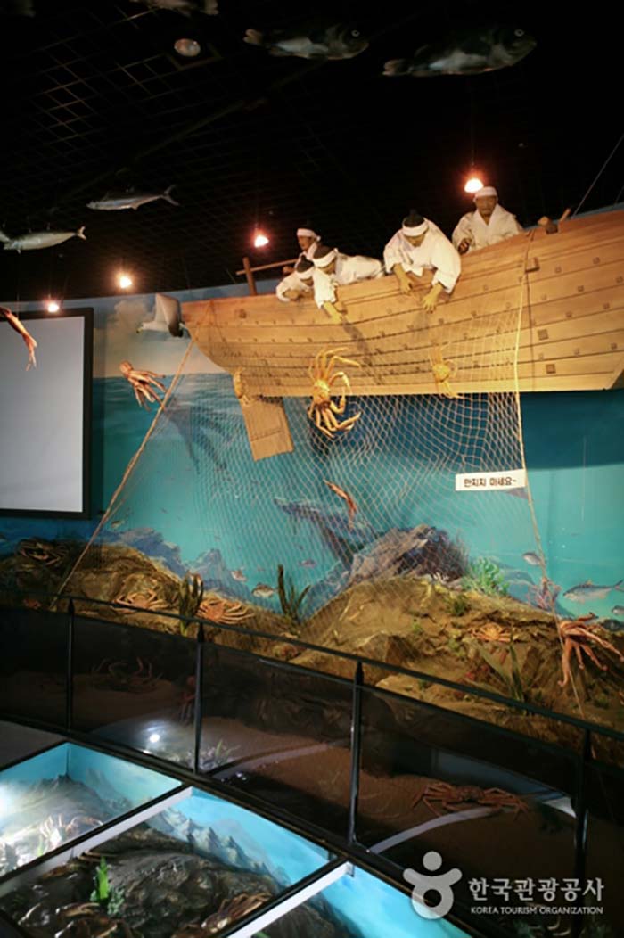 울진대게홍보전시관