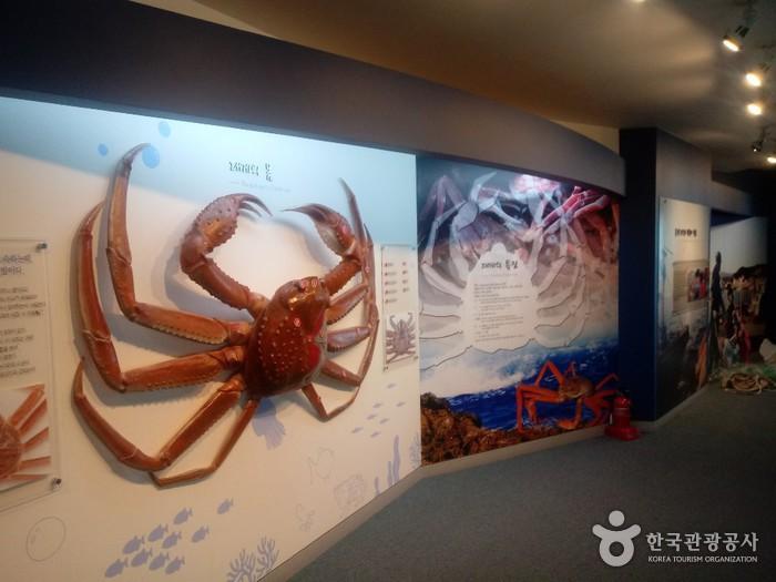 울진대게홍보전시관