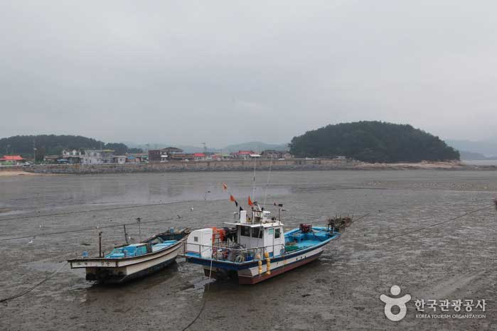 월하성 갯벌