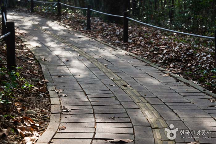 정도리구계등 무장애탐방로