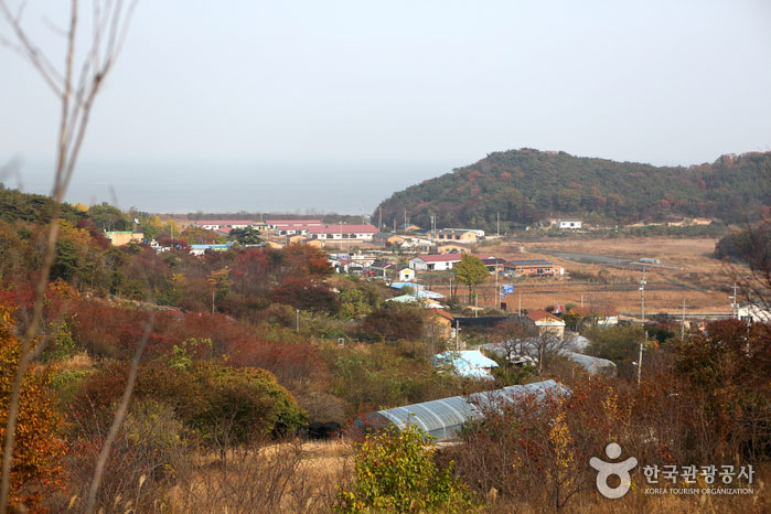 포내어촌체험마을