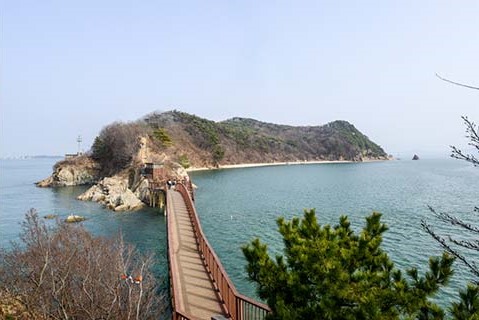 대부해솔길 1코스