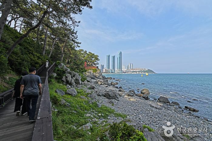 해안산책로(갈맷길 1-2)