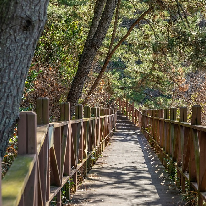 공룡 화석지 해변길
