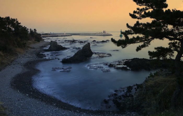 양남 주상절리군 (경북 동해안 국가지질공원)