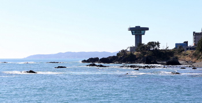 양남 주상절리군 (경북 동해안 국가지질공원)