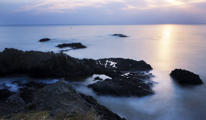 양남 주상절리군 (경북 동해안 국가지질공원)