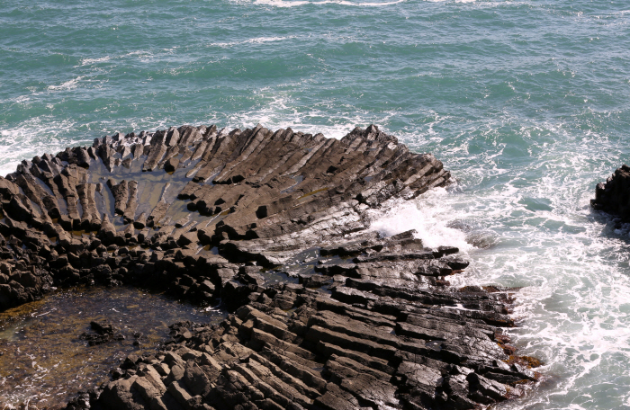 양남 주상절리군 (경북 동해안 국가지질공원)
