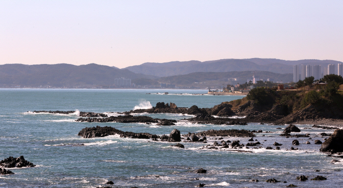 양남 주상절리군 (경북 동해안 국가지질공원)