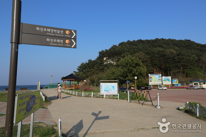 화진포해수욕장