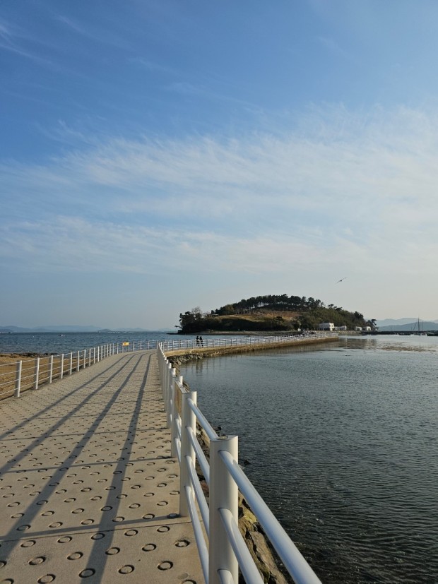 장도