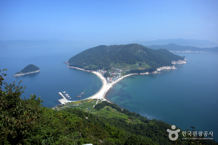 비진도