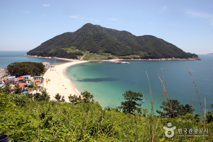 비진도