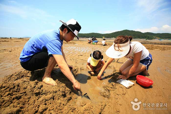 [월하성마을]갯벌체험