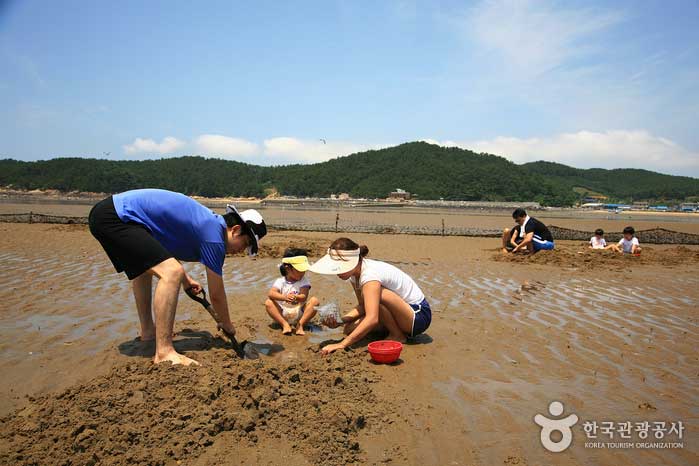 [월하성마을]갯벌체험