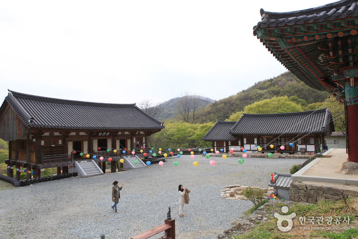 용천사