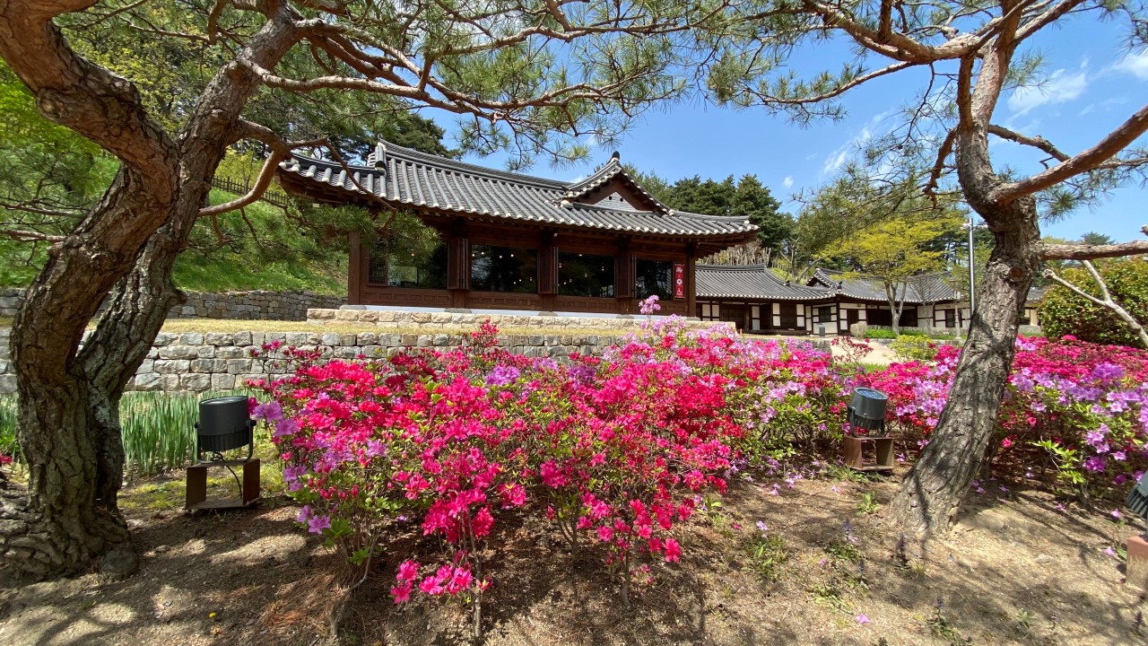 리몽카페