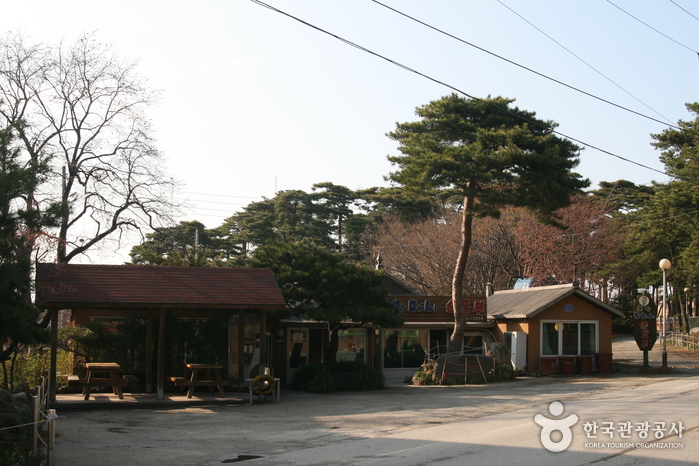 초당순두부마을