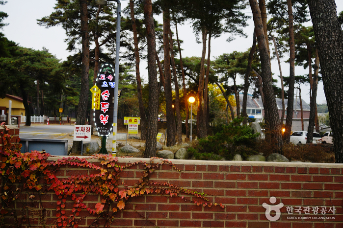 초당순두부마을