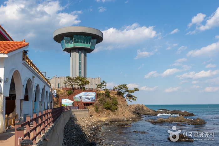 양남주상절리전망대