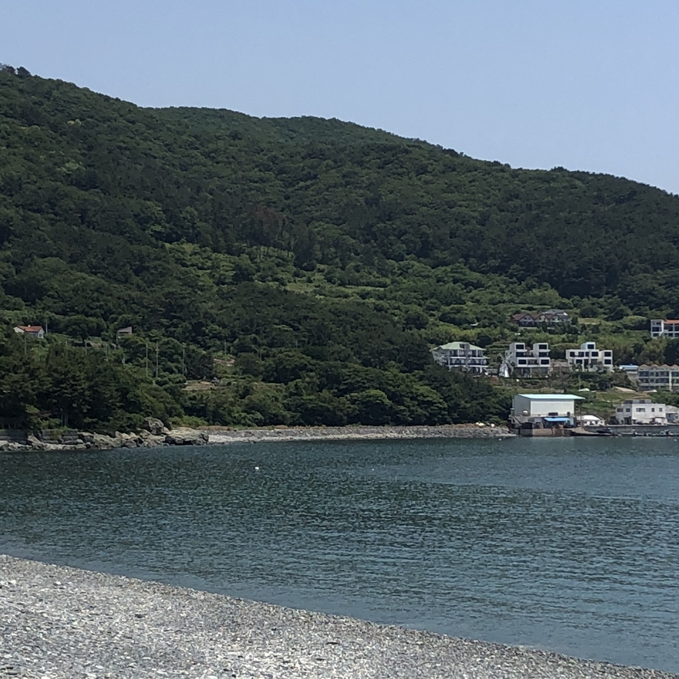 거제진선장