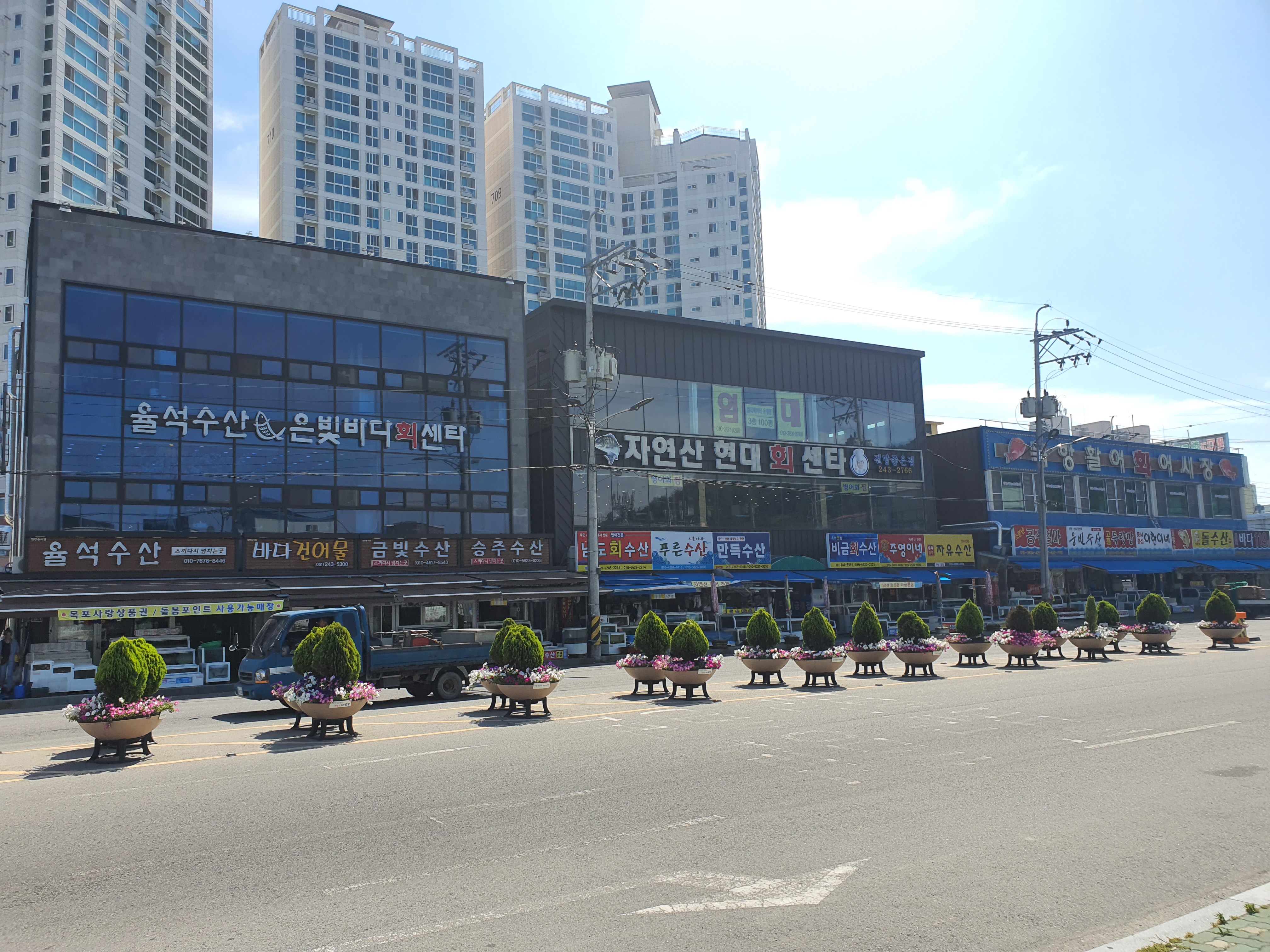 북항활어회어시장