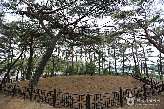 고금도 충무사(완도 묘당도 이충무공 유적)