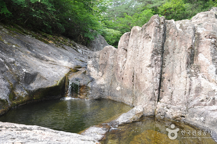 분옥담