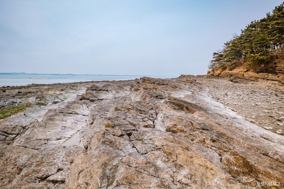 학성리 공룡발자국화석