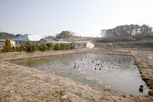 서천식물예술원
