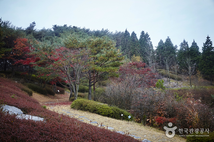 안면도수목원