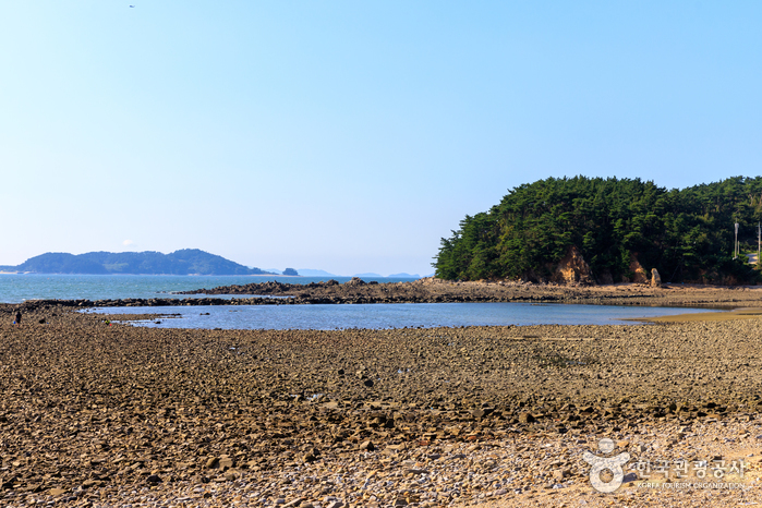 곰섬해수욕장