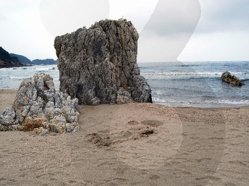 부남해변