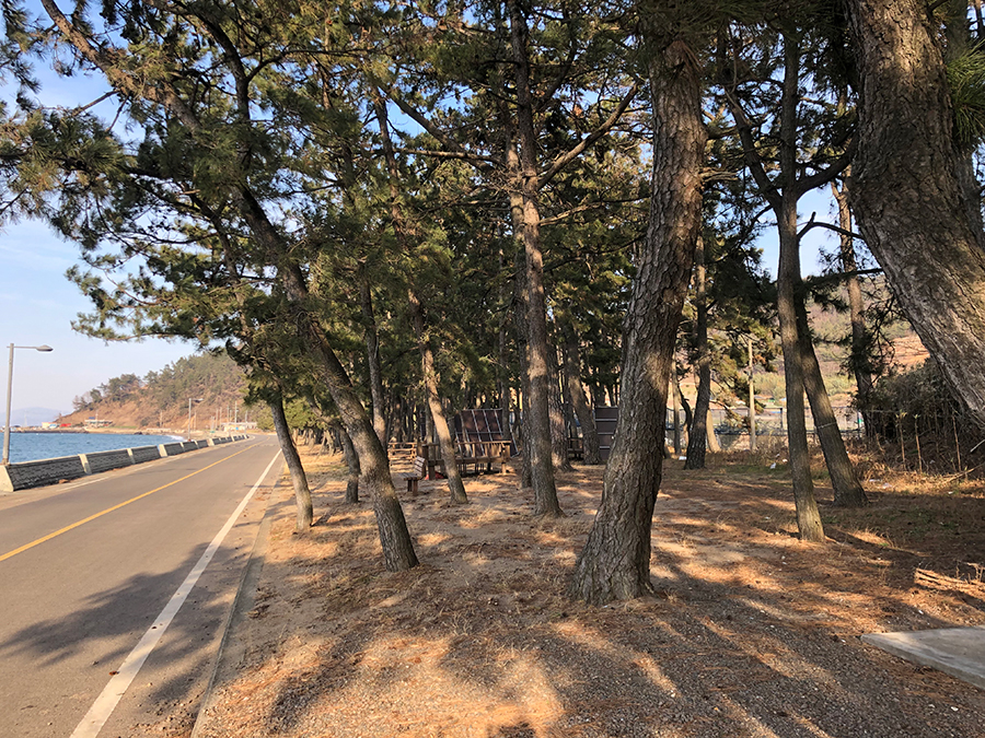 용동해수욕장