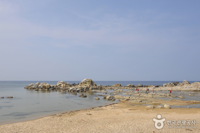남애해변(남애1, 3리)