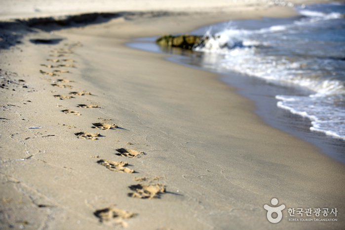 동산포 해수욕장
