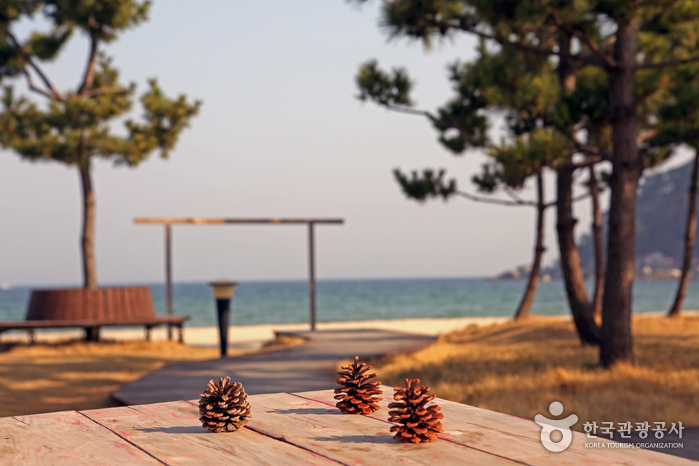 동산포 해수욕장