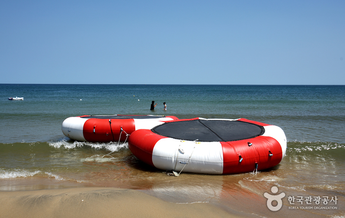 동호해변(양양)