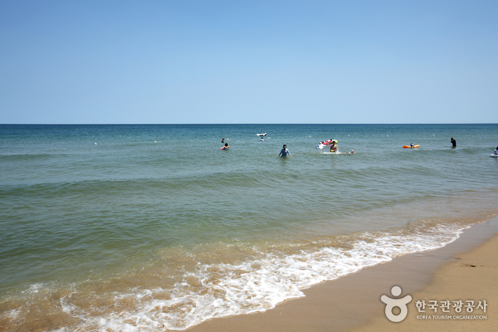 동호해변(양양)