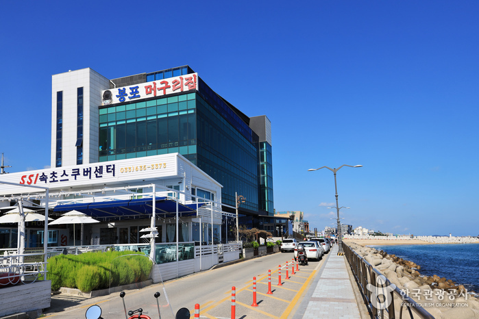 봉포머구리집