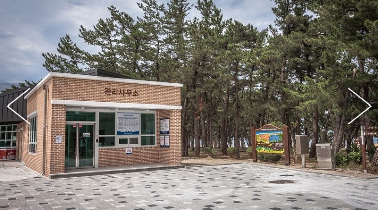 연곡솔향기캠핑장